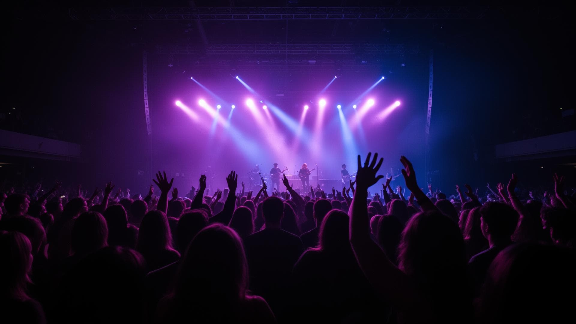 Live concert crowd